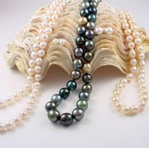 PERFECT GIFT 🎁 OFFERS WELCOME